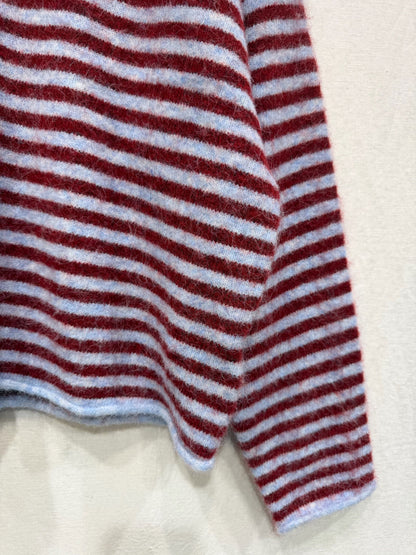 Striped Sweater in Burgundy / Blue