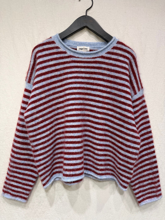 Striped Sweater in Burgundy / Blue