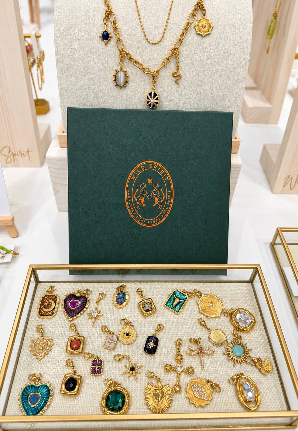 Chunky Charm Necklace & Hook Charms: Chunky Necklace